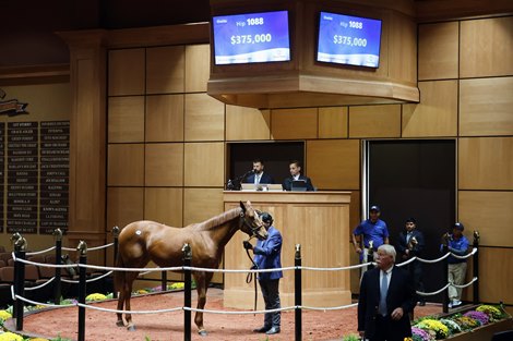 Hip 1088, consignor Conrad Bandoroff, buyer Rich Mendez, Morally Racing, 2026 Fasig-Tipton October Sale Hip 1088, consignor Conrad Bandoroff, buyer Rich Mendez, Morally Racing, 2026 Fasig-Tipton October Sale