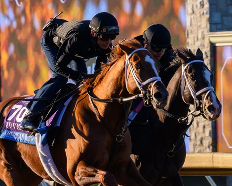 (L-r): American History and Damavand working Breeders’ Cup contenders and training scenes at Keeneland in Lexington, Ky., on Oct. 23, 2026. (L-r): American History and Damavand working Breeders’ Cup contenders and training scenes at Keeneland in Lexington, Ky., on Oct. 23, 2026.