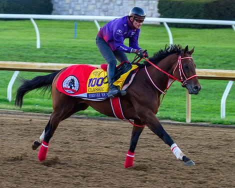 Forever Young (JPN) - Gallop - KEE - 102426 Forever Young (JPN) - Gallop - KEE - 102426