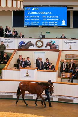 Lot 433 Frankel (GB) / Crystal Zvezda (GB) B.C. (GB) Longview Stud Godolphin 2,000,000 Tattersalls October Yearling Sale Book 1 08OCT26 Lot 433 Frankel (GB) / Crystal Zvezda (GB) B.C. (GB) Longview Stud Godolphin 2,000,000 Tattersalls October Yearling Sale Book 1 08OCT26