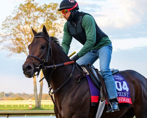 Englishman<br>
Morning training for Breeders’ Cup at Keeneland in Lexington, Ky., on Oct. 22, 2026. Englishman<br>
Morning training for Breeders’ Cup at Keeneland in Lexington, Ky., on Oct. 22, 2026.