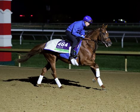 Notable Speech - Gallop - Keeneland - 10-27-26 Notable Speech - Gallop - Keeneland - 10-27-26