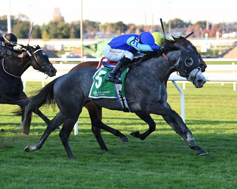 Lion Lake (IRE) wins the 2026 Glen Cove Stakes at Belmont Park Lion Lake (IRE) wins the 2026 Glen Cove Stakes at Belmont Park