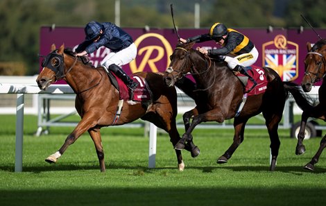 Mount Atlas (P J McDonald,right) beats Queenstown (Ryan Moore) in the Long Distance Cup Ascot 17.10.26 Pic: Edward Whitaker Mount Atlas (P J McDonald,right) beats Queenstown (Ryan Moore) in the Long Distance Cup Ascot 17.10.26 Pic: Edward Whitaker