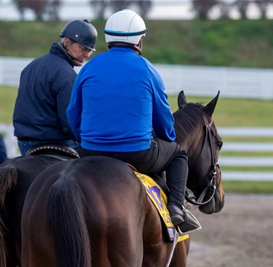 Sovereignty with trainer Bill Mott, left going out for a gallop at Keeneland Race Track before the Breeders' Cup weekend Oct. 28, 2026 in Lexington, Kentucky. Photo by Skip Dickstein Sovereignty with trainer Bill Mott, left going out for a gallop at Keeneland Race Track before the Breeders' Cup weekend Oct. 28, 2026 in Lexington, Kentucky. Photo by Skip Dickstein