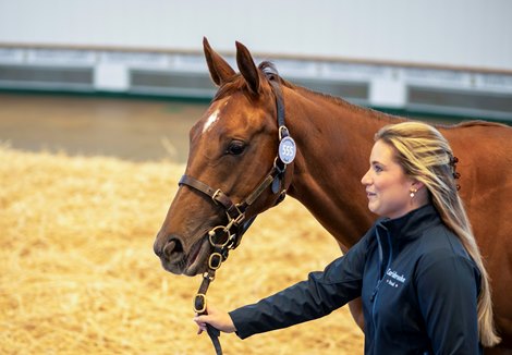 Lot 555 Night of Thunder (IRE) / Impulsion (IRE) Ch.F. (GB) Carisbrooke Stud Cheveley Park Stud 450,000<br>
Tattersalls<br>
October Yearling Sale<br>
Book 2<br>
12OCT26 Lot 555 Night of Thunder (IRE) / Impulsion (IRE) Ch.F. (GB) Carisbrooke Stud Cheveley Park Stud 450,000<br>
Tattersalls<br>
October Yearling Sale<br>
Book 2<br>
12OCT26
