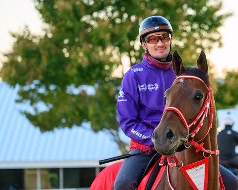 Forever Young Morning training at Keeneland in Lexington, Ky. on Oct. 21, 2026. Forever Young Morning training at Keeneland in Lexington, Ky. on Oct. 21, 2026.