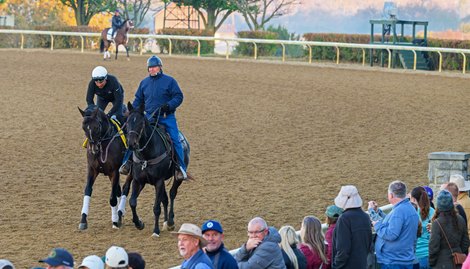 Bill Mott leads Sovereignty to the paddock for schooling Bill Mott leads Sovereignty to the paddock for schooling