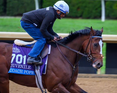 Coach Pope<br>
Breeders’ Cup contenders and training scenes at Keeneland in Lexington, Ky., on Oct. 28, 2026. Coach Pope<br>
Breeders’ Cup contenders and training scenes at Keeneland in Lexington, Ky., on Oct. 28, 2026.