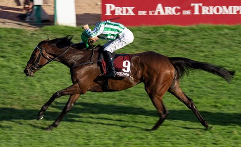 Miss Scott (Christophe Soumillon) wins the Prix de L'Opera Longchamp 4.10.26 Pic: Edward Whitaker Miss Scott (Christophe Soumillon) wins the Prix de L'Opera Longchamp 4.10.26 Pic: Edward Whitaker