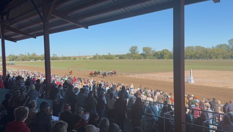 Racing on opening day at Eureka Downs Racing on opening day at Eureka Downs