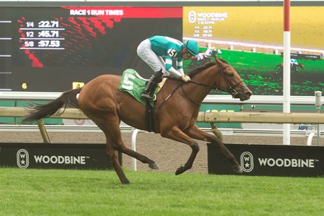 Winchester Road Jockey Sahin Civaci.Woodbine/ Michael Burns Photo Winchester Road Jockey Sahin Civaci.Woodbine/ Michael Burns Photo