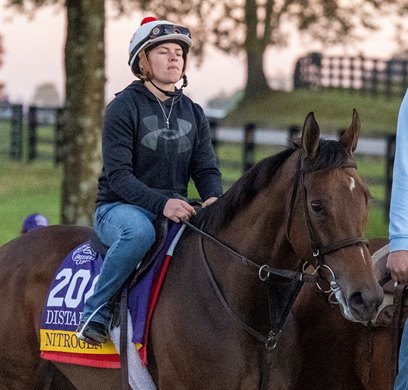 Distaff contestant Nitrogen going out for a gallop at Keeneland Race Track Oct. 27, 2026 in Lexington, Kentucky Photo by Skip Dickstein Distaff contestant Nitrogen going out for a gallop at Keeneland Race Track Oct. 27, 2026 in Lexington, Kentucky Photo by Skip Dickstein