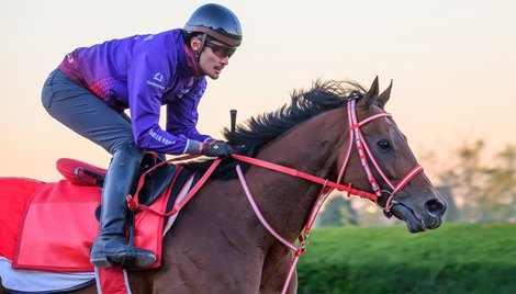 Forever Young Morning training at Keeneland in Lexington, Ky. on Oct. 21, 2026. Forever Young Morning training at Keeneland in Lexington, Ky. on Oct. 21, 2026.