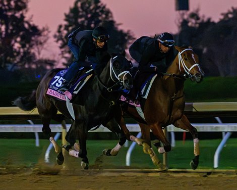 (L-r): Badittude and Life Changing<br>
Breeders’ Cup contenders and training scenes at Keeneland in Lexington, Ky., on Oct. 23, 2026. (L-r): Badittude and Life Changing<br>
Breeders’ Cup contenders and training scenes at Keeneland in Lexington, Ky., on Oct. 23, 2026.