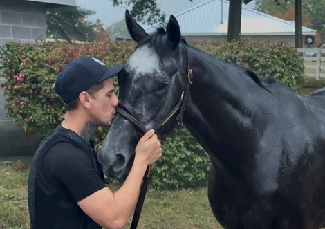 Shisospicy receives a kiss from regular exercise rider Jose Rivera while she gets a bath following an Oct. 15 workout at Keeneland Shisospicy receives a kiss from regular exercise rider Jose Rivera while she gets a bath following an Oct. 15 workout at Keeneland