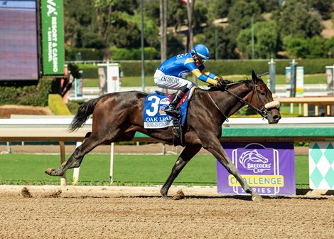 Domain Expansion and jockey Adrian Escobedo win the Grade II, $200,000 Oak Leaf Stakes, Saturday, October 3, 2026 at Santa Anita Park, Arcadia CA. © BENOIT PHOTO Domain Expansion and jockey Adrian Escobedo win the Grade II, $200,000 Oak Leaf Stakes, Saturday, October 3, 2026 at Santa Anita Park, Arcadia CA. © BENOIT PHOTO
