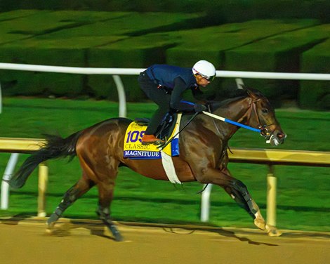Magnitude works 5f in 1:01.00 at Keeneland in Lexington, Ky., on Oct. 24, 2026. Magnitude works 5f in 1:01.00 at Keeneland in Lexington, Ky., on Oct. 24, 2026.