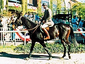 Flatterer makes an appearance at the 1990 Breeders' Cup.