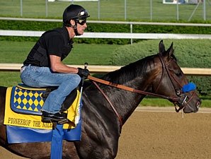 Pioneerof the Nile during morning gallop at Chrurchill Downs April 29 