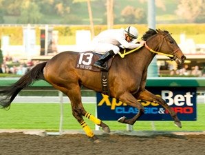 M One Rifle wins the 2009 Malibu Stakes.