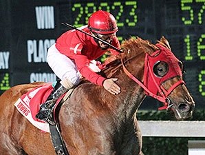 Golden Actor wins the Jean Laffitte Stakes.