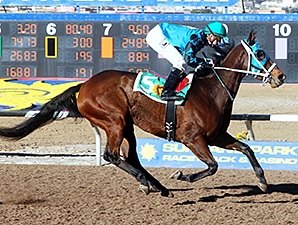 Rose's Desert wins the 2013 New Mexico State Racing Commission Handicap.
