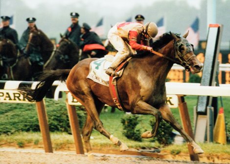 Colonial Affair, Belmont, 1993