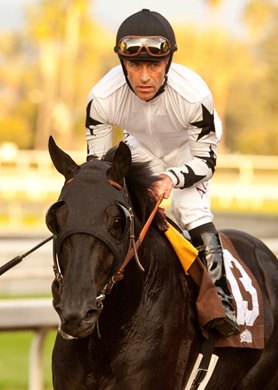 Jockey Gary Stevens guides Slim Shadey to the winner's circle after their victory in the Grade II, $150,000 San Marcos Stakes, Saturday, February 9, 2013 at Santa Anita Park, Arcadia CA. © BENOIT PHOTO