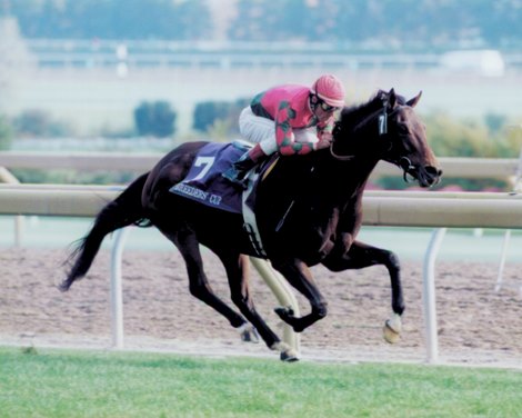 Breeder's Cup, BC Mile 1996