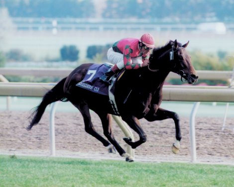 Breeder & # 39;  s Cup, BC Mile 1996