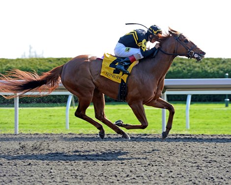 Caption: Judy the Beauty with John Velazquez takes the lead midstretch and goes on to win the Madison (gr. I) by 2 1/2 lengths.  Undercard stakes at Keeneland near Lexington, Ky., on April 12, 2014. image7116 Photo by Anne M. Eberhardt
