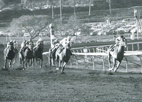 Affirmed wins the 1979 Santa Anita Handicap