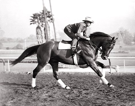 Out of action with an injury for the entire 1949 season, an obviously “on-the muscle” Citation is readied for his return to the races with a workout at Santa Anita in December of 1949. As shown in this priceless image, all systems were “go” for the powerfully-built and photogenic racer. Ahead were some epic battles with *Noor. Two years later, “Cy” became the sport’s first millionaire.