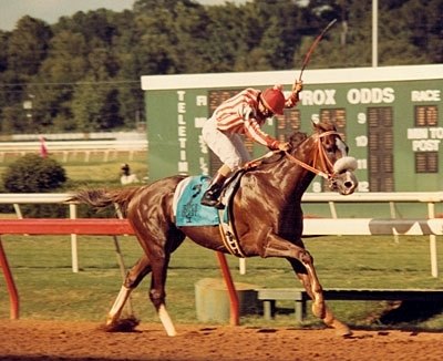 Sunny's Halo became the first Kentucky Derby winner to take the Super Derby in 1983.