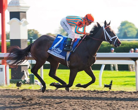 Caption:  My Conquestadory with Eurico Da Silva up wins the Darley Alcibiades Stakes (gr. I) at Keeneland. Owners Ernie Semersky and Dory Newell. Keeneland fall race meeting in Lexington, Ky., on Oct. 4, 2013. Alcibiades1JNefs  image288 Photo by Anne M. Eberhardt