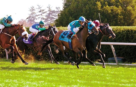 Film Maker #9 with Edgar Prado up wins the Grade I Queen Elizabeth Challenge Cup at Keeneland.