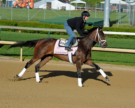 Caption: Unlimited Budget works and scenes at Churchill Downs near Louisville, Ky. on April 26, 2013, during Kentucky Derby and Kentucky Oaks week. 1Works4_26_13 image797 Photo by Anne M. Eberhardt