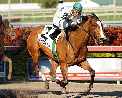 Pomeroys Pistol wins the 2011 Forward Gal Stakes.
