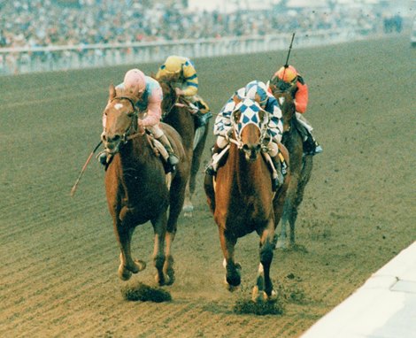 Alysheba won the Santa Anita HAndicap at Santa Anita Park in 1988 with Chris McCarron up.