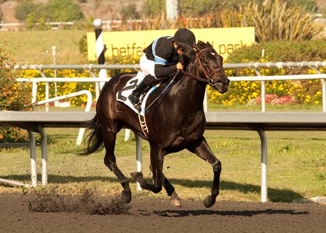 Shared Belief and jockey Corey Nakatani win the Grade II $100,000 Hollywood Prevue Stakes at Hollywood Park in Inglewood CA.