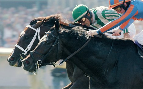 Johar (outside) dead-heats with High Chaparral in the 2003 Breeders&#39; Cup Turf (G1).