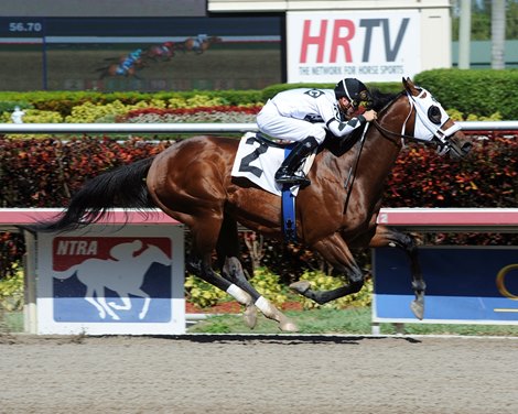 Fast Anna wins his first race at Gulfstream Park this weekend in Florida.
