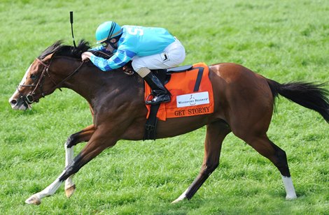 Get Stormy and Ramon Dominguez win the Woodford Reserve Turf Classic at Churchill Downs.