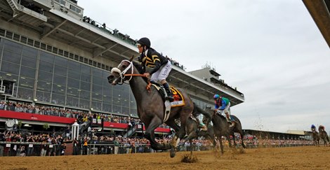 Oxbow with Gary Stevens on board won the 138th Preakness Stakes at Pimlico in Baltimore, Maryland on May 18, 2013.