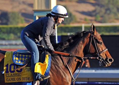 Game On Dude... &#169; 2013 Rick Samuels/The Blood-Horse