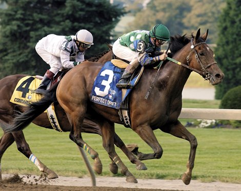 Grade I Stephen Foster Handicap winner Perfect Drift with Pat Day up defeats Congaree  to win the Grade II Kentucky Cup Classic at Turfway Park.