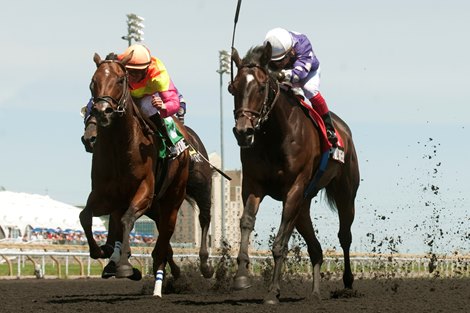 Jockey Justin Stein guides Phil's Dream (insde purple silks) to victory over Go Blue Or Go Home in the $100,000 Ontario Jockey Club Stakes at Woodbine in Toronto, Ontario.
