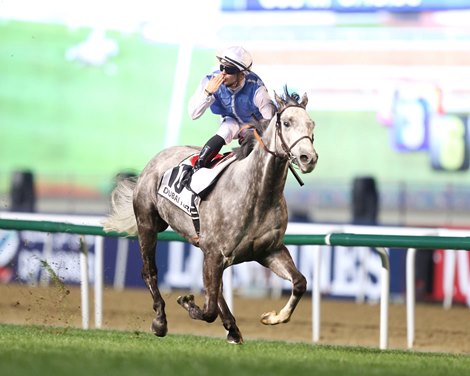 Jockey Maxime Guyon guided Solow of Alain and Gerard Wertheimer to a commanding score in the $6 million Dubai Lawn sponsored by DP World (UAE-I) at nine stages in a “good” course in Meydan, giving coach Freddy Head his first win in Dubai.