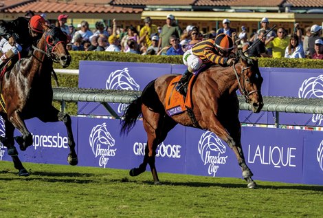 Little Mike wins the 2012 Breeders’ Cup Turf (G1)<br><br />
Jockey: Ramon Dominguez<br><br />
SANTA ANITA PARK, Arcadia, CA<br><br />
Purse: $3,000,000<br><br />
Date: November 3, 2012<br><br />
Class: Grade I<br><br />
TV: NBC Sports Network<br><br />
Age: 3YO&amp;UP<br><br />
Race: 9<br><br />
Distance: 1 1/2 miles<br><br />
Post Time: 3:18 PM PDT